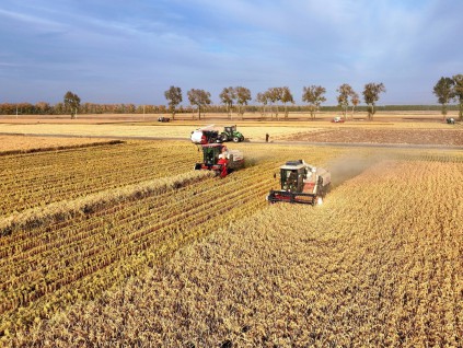 粮农组织：粮食废弃物或助长抗微生物药物耐药性