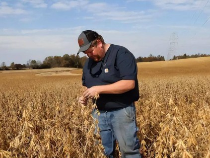 美国大豆对华出口回暖 当地农民今春扩大种植面积