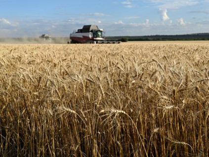 中东战火烧进餐桌 联合国警告：数周内冲击全球粮食供应