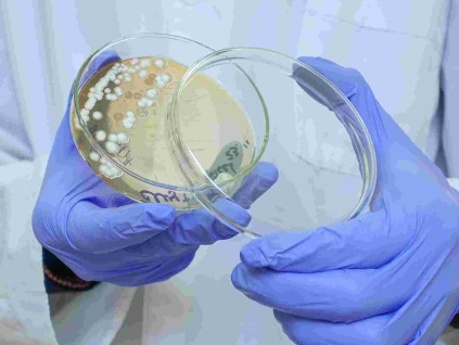 瑞典低成本技术助攻 细菌耐药性检测有望缩短至数分钟