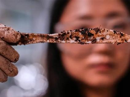 用醣类制成的生物塑料将成为替代传统塑料的新解方