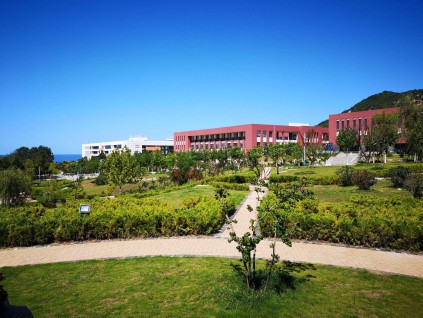 中国各大城市全球抢大学 英国高校积极参与合作办学单元