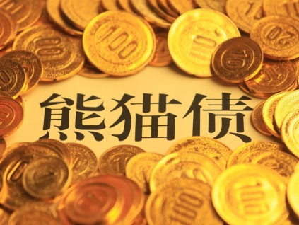 瑞银集团首次发行熊猫债 规模为人民币20亿元期限五年