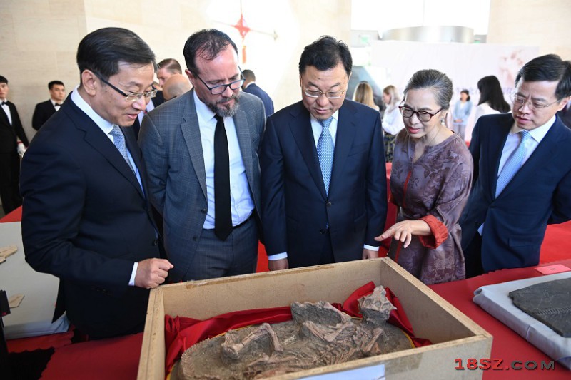 18SZ图片处理