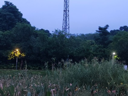 联合国警告：霍尔木兹海峡化肥运输受阻 或引发亚非粮食危机